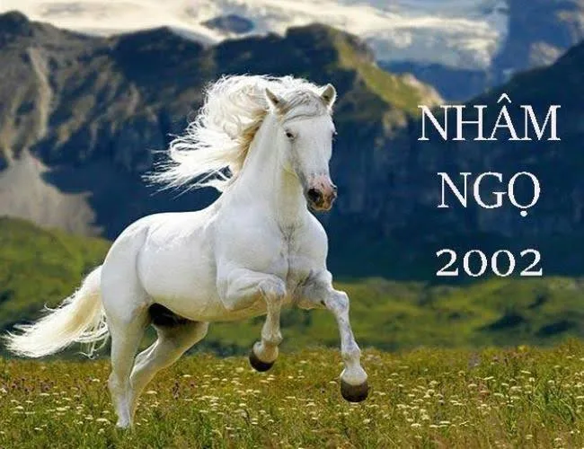 Xem tử vi tuổi Nhâm Ngọ 2002 - Nam mạng năm 2025 CHI TIẾT NHẤT