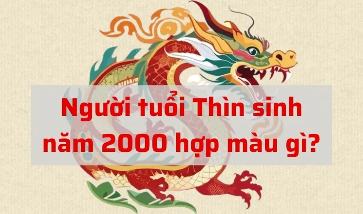 Tuổi Canh Thìn 2000 hợp màu gì, kỵ màu gì nhất?