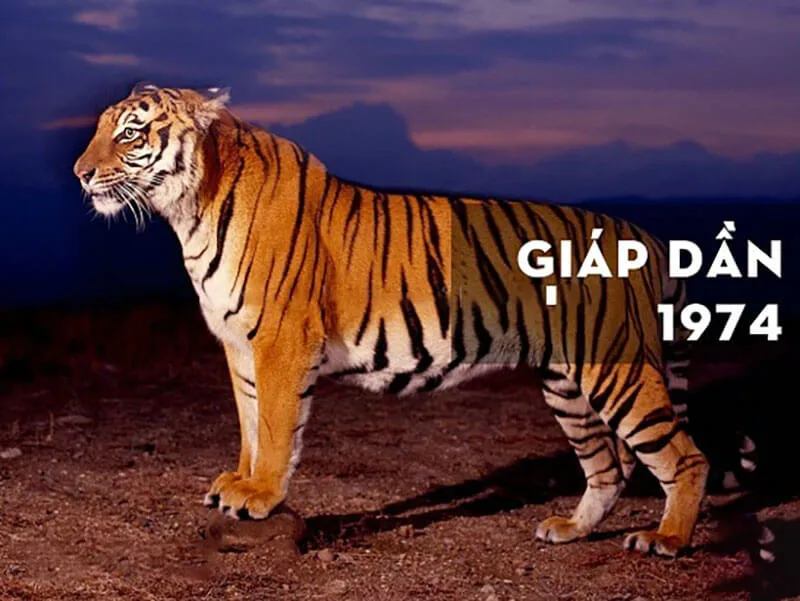 Xem tử vi tuổi Giáp Dần 1974 - Nam mạng năm 2025 CHI TIẾT NHẤT