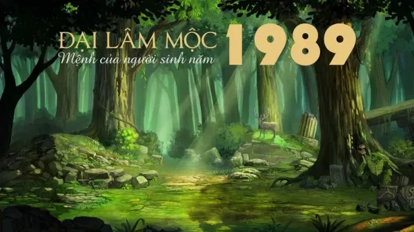 Xem tử vi tuổi Kỷ Tỵ 1989 - Nam mạng năm 2025 CHI TIẾT NHẤT 