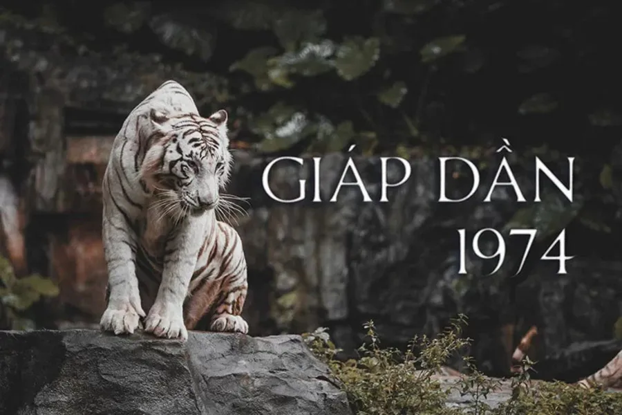 Tuổi Giáp Dần 1974 hợp màu gì, kỵ màu gì nhất?