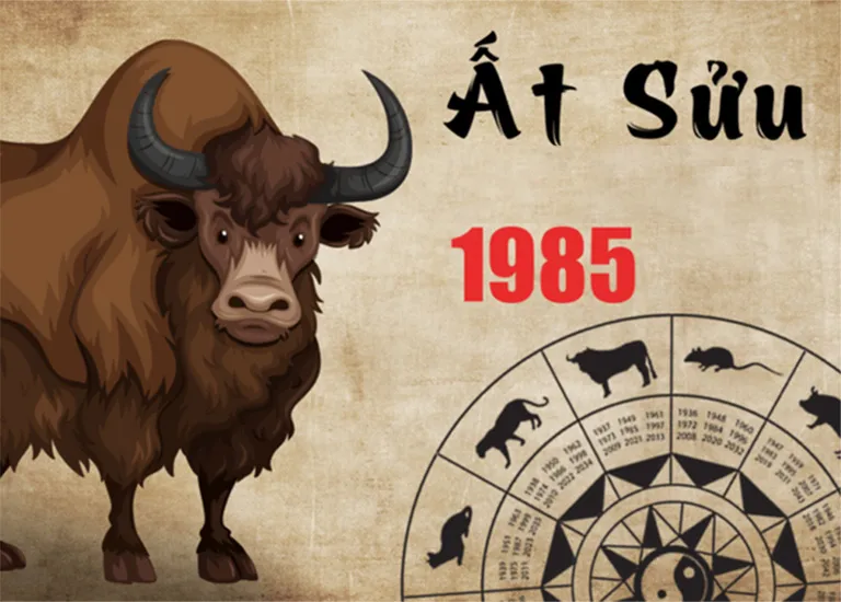 Tuổi Ất Sửu 1985 hợp màu gì, kỵ màu gì nhất năm 2025?