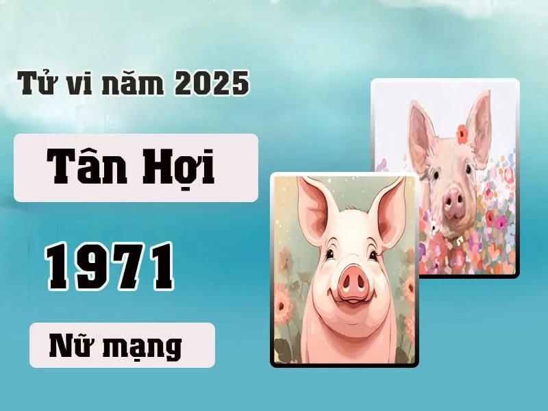 Xem tử vi tuổi Tân Hợi 1971 - Nữ mạng năm 2025 CHI TIẾT NHẤT