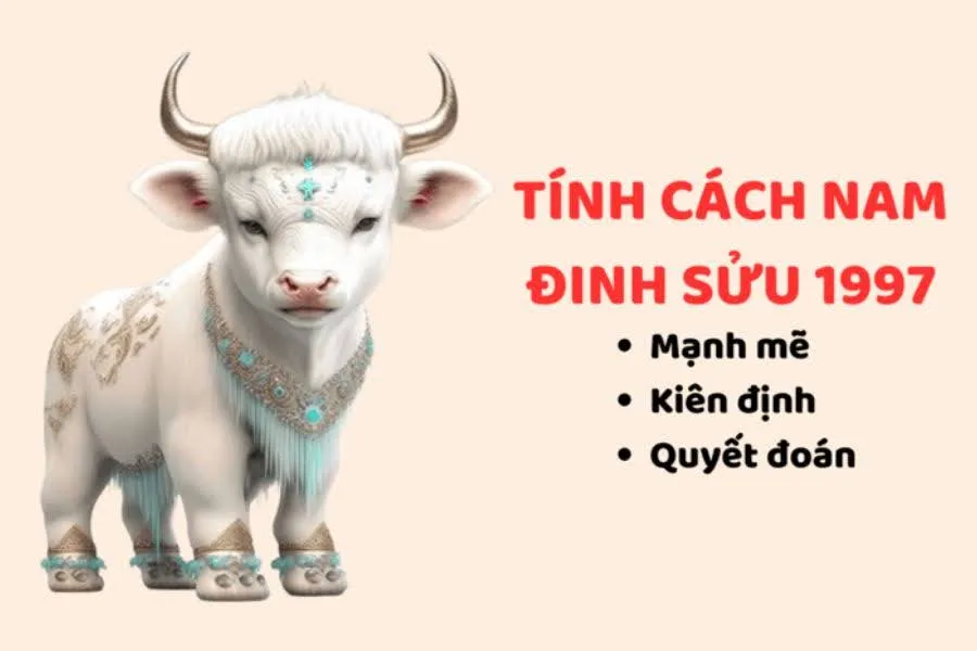Nam Đinh Sửu 1997 lấy vợ tuổi nào để có cuộc sống sung túc, giàu sang năm 2025?