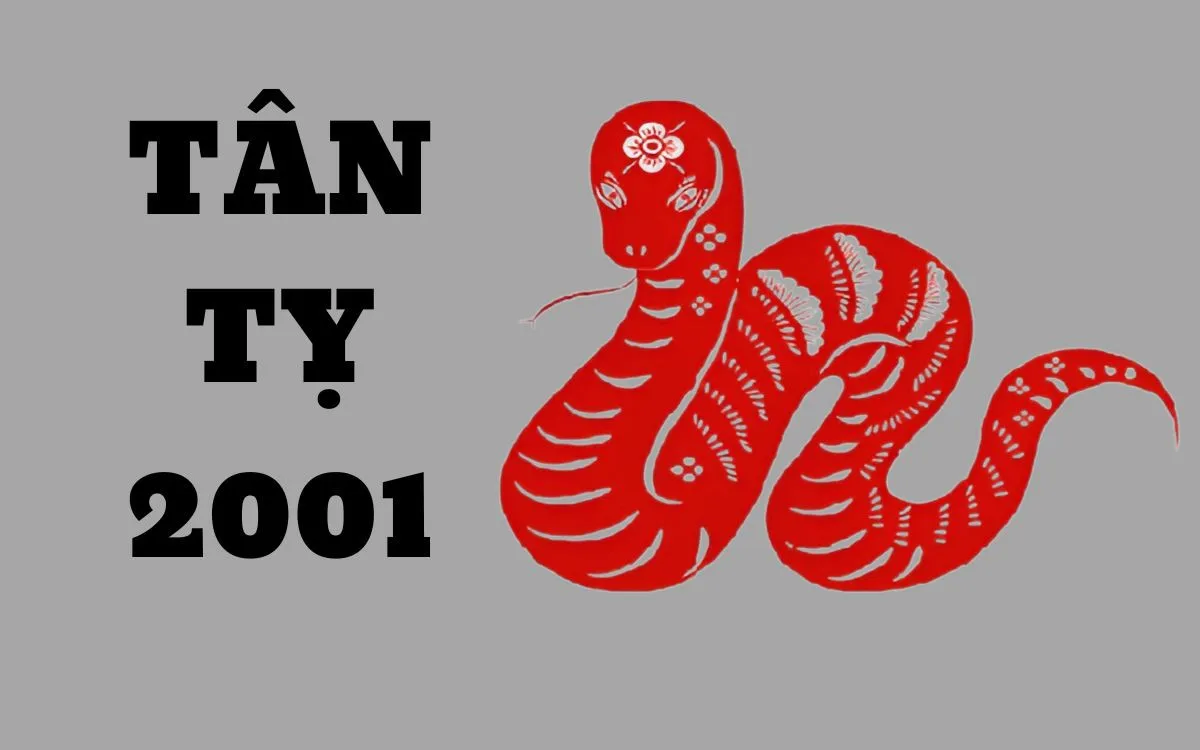 Sự nghiệp của tuổi Tân Tỵ 2001 trong năm 2025 có gì đáng chú ý?