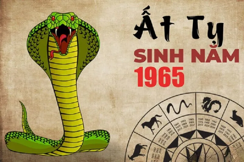 Sự nghiệp của tuổi Ất Tỵ 1965 trong năm 2025 có gì đáng chú ý?