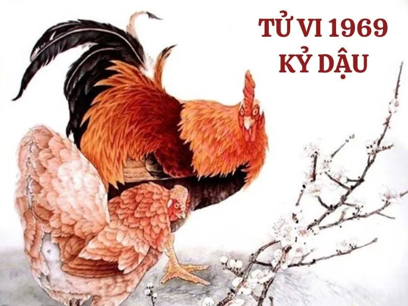 Xem tử vi tuổi Kỷ Dậu 1969 - Nữ mạng năm 2025 CHI TIẾT NHẤT