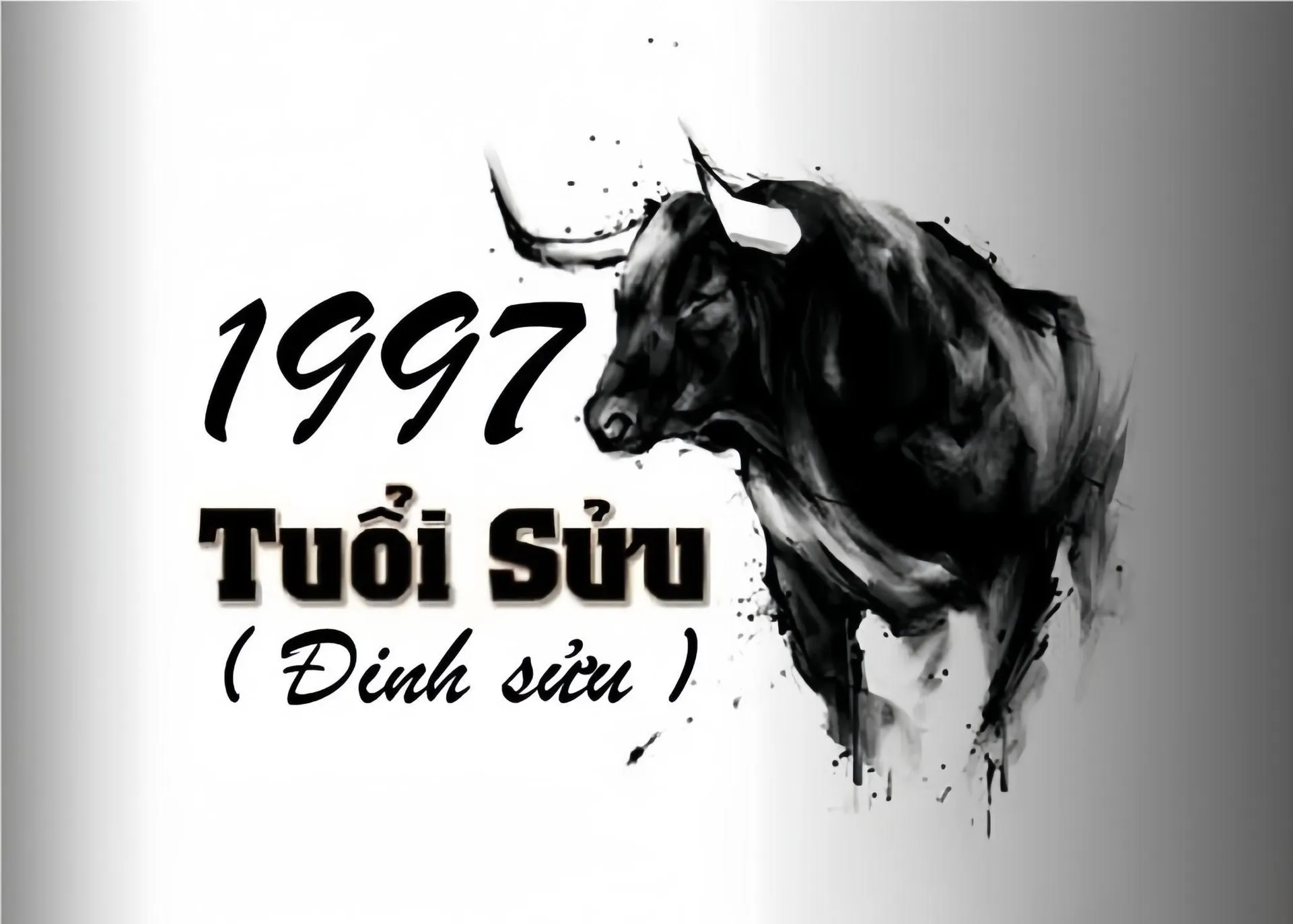 Tuổi Đinh Sửu 1997 có gặp hạn Kim Lâu, Hoang Ốc, Tam Tai trong năm 2025 không?