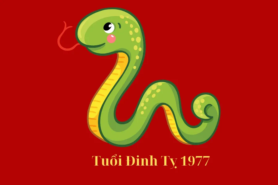 Tuổi Đinh Tỵ 1977 hợp màu gì, kỵ màu gì nhất năm 2025?