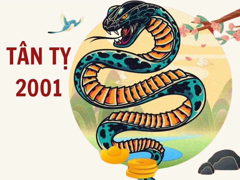 Xem tử vi tuổi Tân Tỵ 2001 - Nữ mạng năm 2025 CHI TIẾT NHẤT