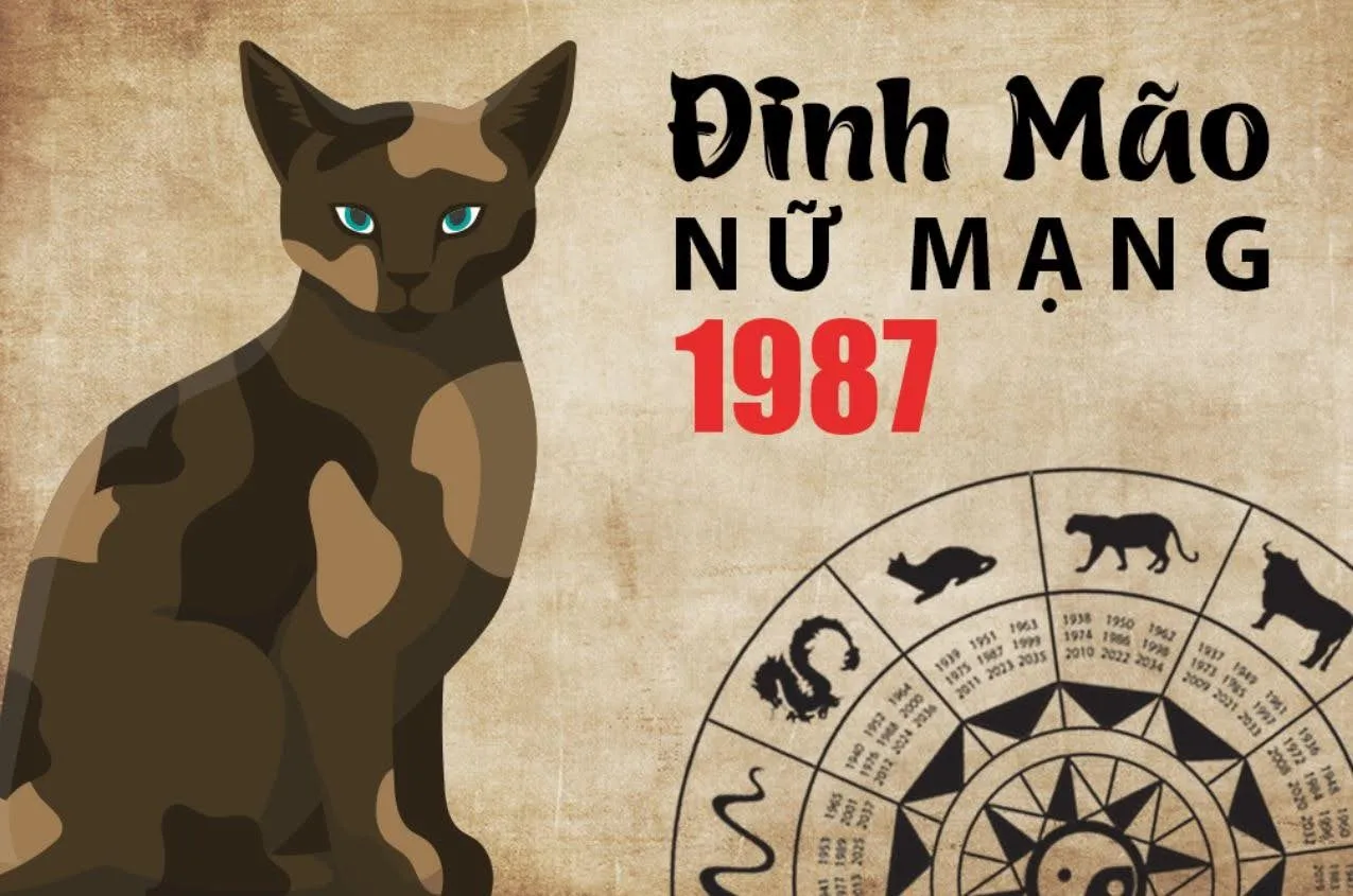 Hướng nhà hợp tuổi Đinh Mão 1987 nữ mạng trong năm 2025