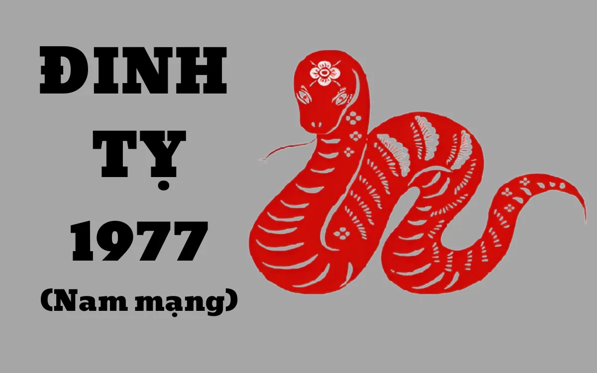  Ngày, giờ đẹp để xuất hành cho tuổi Đinh Tỵ 1977 trong năm 2025