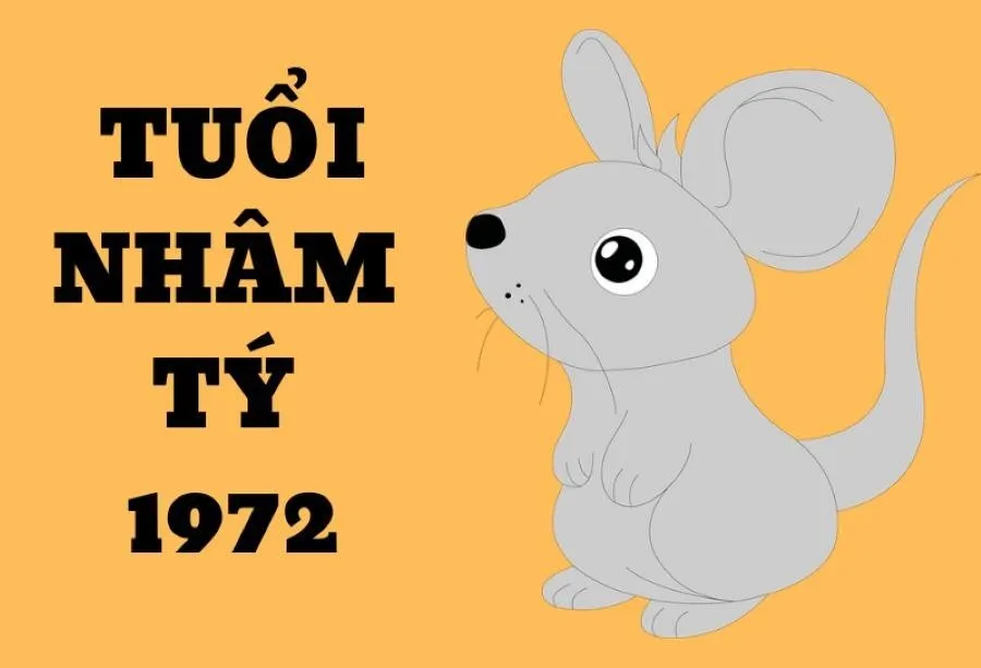 Hướng nhà hợp tuổi Nhâm Tý 1972 nam mạng trong năm 2025