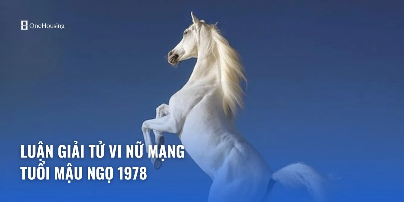 Xem tử vi tuổi Mậu Ngọ 1978 - Nữ mạng năm 2025 CHI TIẾT NHẤT