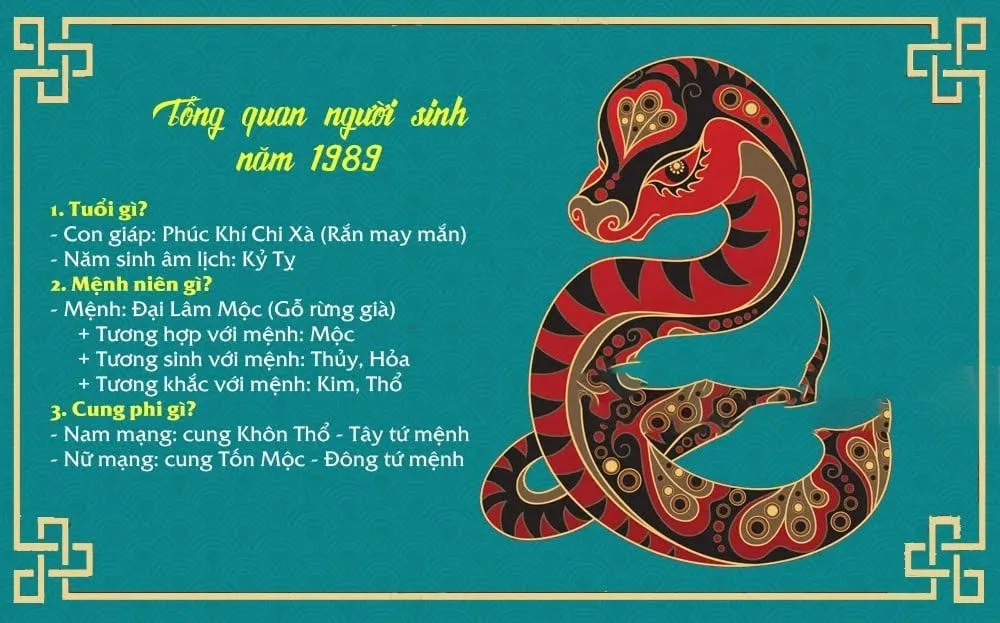 Sự nghiệp của tuổi Kỷ Tỵ 1989 trong năm 2025 có gì đáng chú ý?