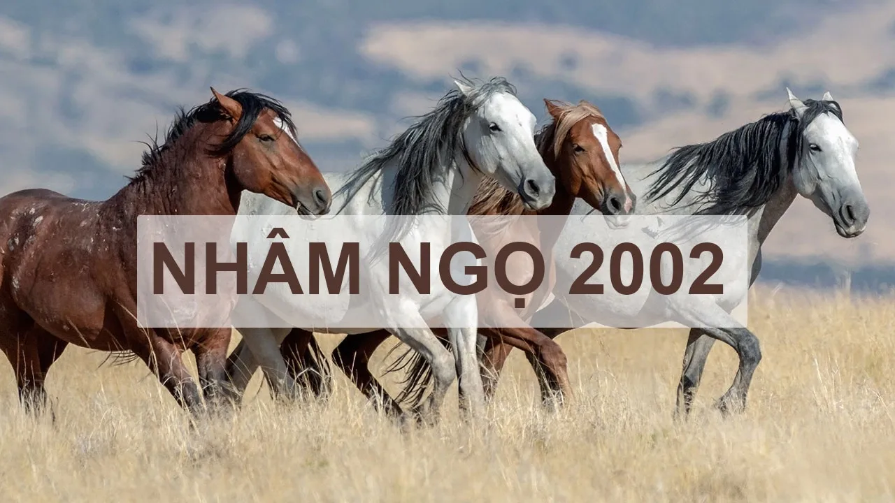 Sự nghiệp của tuổi Nhâm Ngọ 2002 trong năm 2025 có gì đáng chú ý?