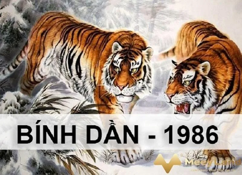Vận trình tử vi tuổi Bính Dần 1986 trong tháng 11 năm 2024 chi tiết