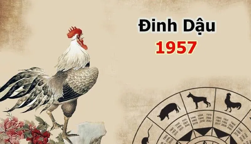 Hướng nhà hợp tuổi Đinh Dậu 1957 nữ mạng trong năm 2025