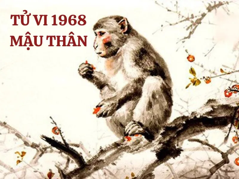 Hướng nhà hợp tuổi Mậu Thân 1968 nam mạng trong năm 2025