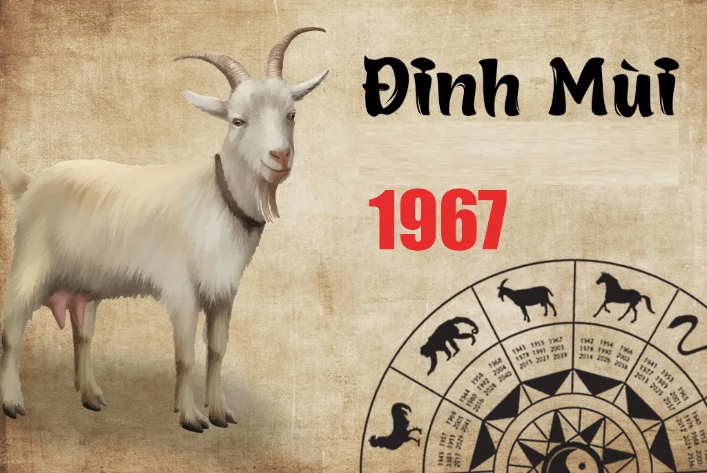 Vận trình tử vi tuổi Đinh Mùi 1967 trong tháng 12 năm 2024 Âm lịch