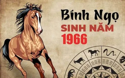 Tuổi Bính Ngọ 1966 hợp màu gì, kỵ màu gì nhất năm 2025?