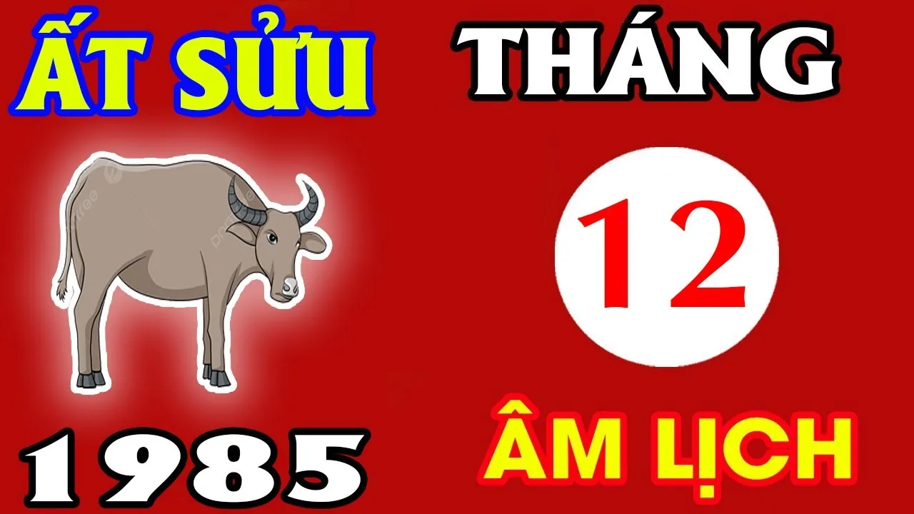 Vận trình tử vi tuổi Ất Sửu 1985 trong tháng 12 năm 2024 Âm lịch