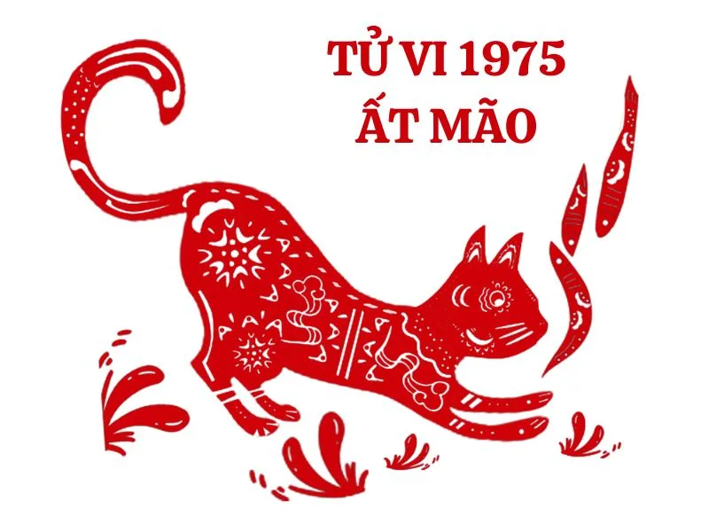 Vận trình tử vi tuổi Ất Mão 1975 trong tháng 12 năm 2024 Âm lịch