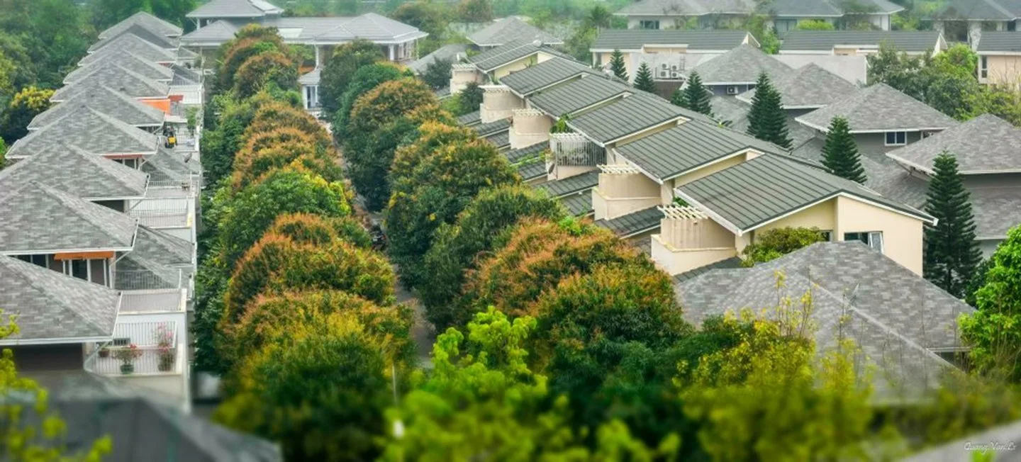 Biệt thự vườn tùng Ecopark: Thông tin chi tiết dành cho nhà đầu tư