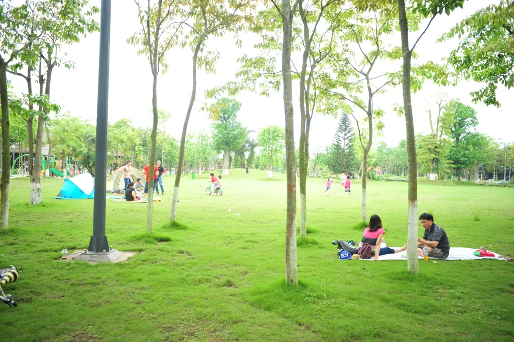 Dự án Nhà phố Phố Trúc Ecopark: Thông tin chi tiết dành cho nhà đầu tư