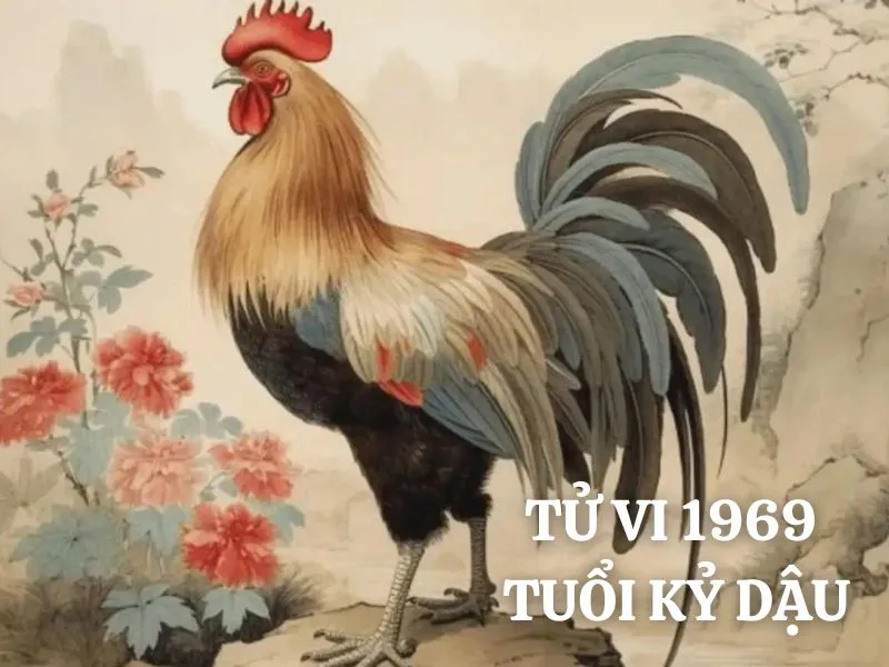 Vận trình tử vi tuổi Kỷ Dậu 1969 trong tháng 3 năm 2025 Âm lịch