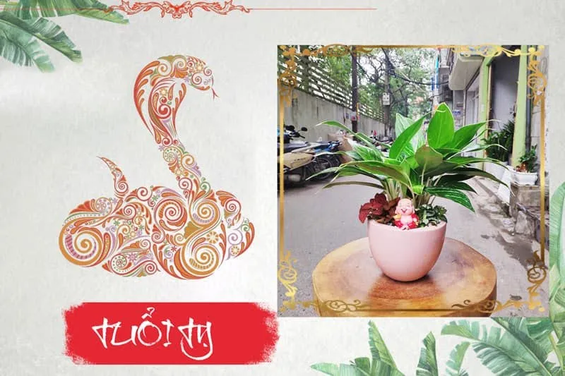 Tuổi Tân Tỵ 2001 trồng cây gì hợp phong thủy?