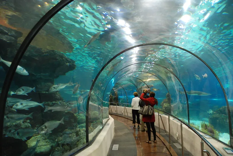 Chung cư Thăng Long Garden quận Hai Bà Trưng cách thủy cung Times City bao nhiêu km?