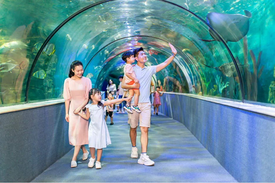 Chung cư Đồng Phát Park View Tower cách thủy cung Times City bao nhiêu km?