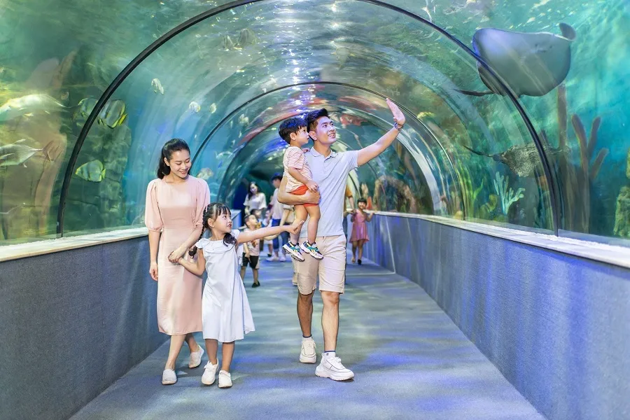 Từ chung cư Green Pearl đến thủy cung Times City bao nhiêu km?
