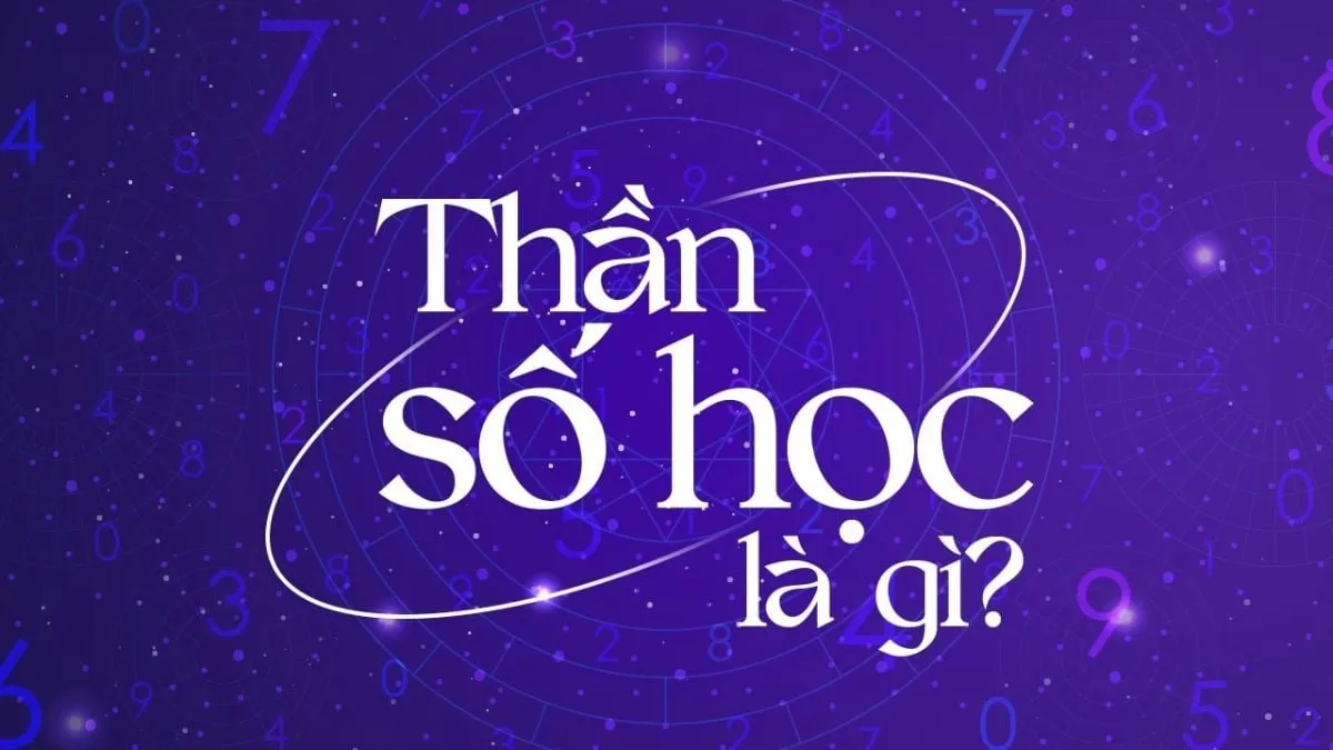 Theo thần số học, người mang số chủ đạo là 2 có đặc điểm gì?