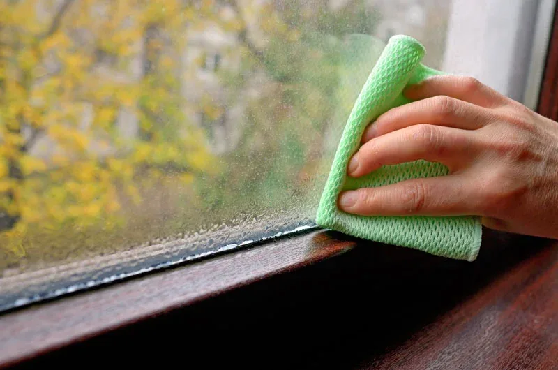 Nồm ẩm không còn là nỗi lo với những cách giữ nhà cửa khô ráo sau đây