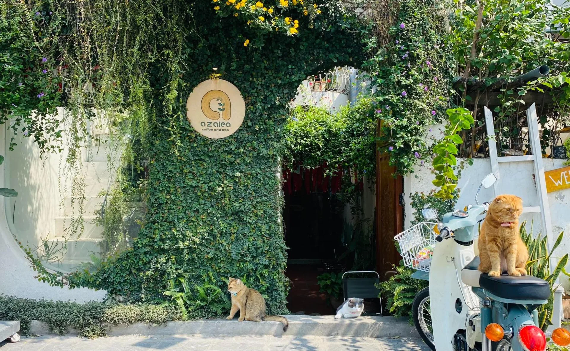Tận hưởng không gian thanh bình với 7 quán cafe yên tĩnh dành cho người hướng nội tại Vinhomes Nguyễn Chí Thanh
