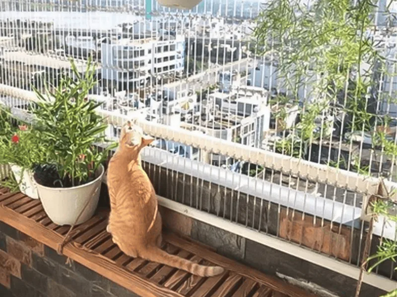 Mẹo thiết kế căn hộ đi thuê dành cho những "con sen" yêu thú cưng