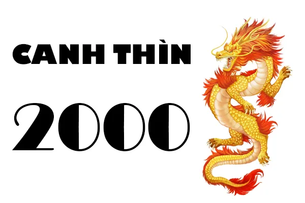 Canh Thìn 2000 nữ mạng hợp làm ăn với những tuổi nào để thu hút tài lộc?