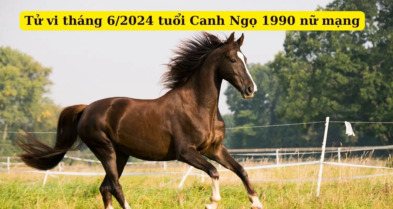Tháng 6 năm 2024 (Âm lịch) của tuổi 1990 Canh Ngọ nữ mạng có gì cần chú ý?