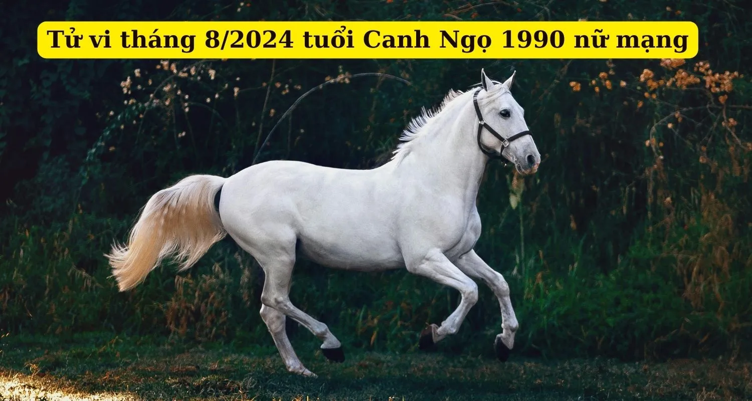 Tháng 8 năm 2024 (Âm lịch) của tuổi 1990 Canh Ngọ nữ mạng có gì cần chú ý?