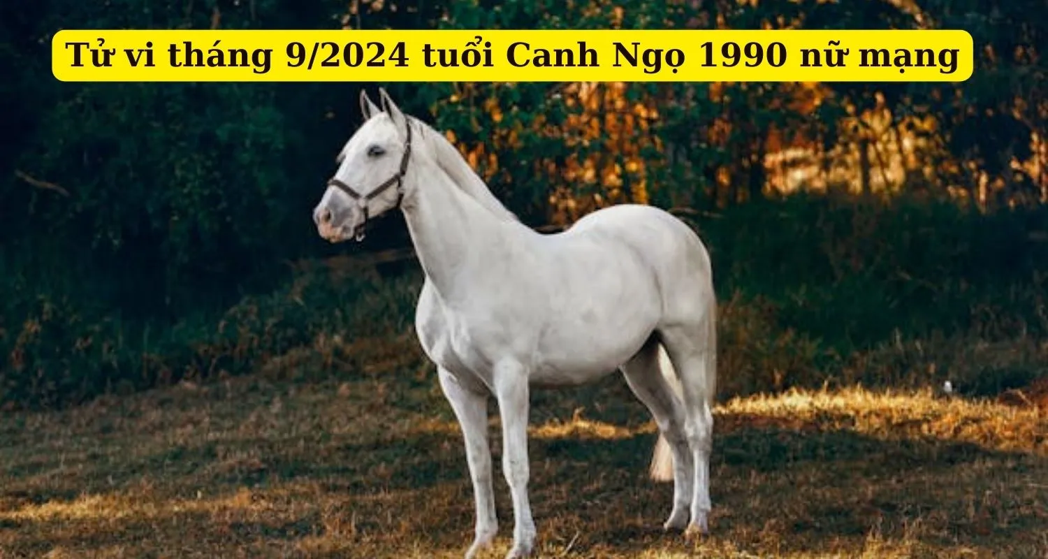 Tháng 9 năm 2024 (Âm lịch) của tuổi 1990 Canh Ngọ nữ mạng có gì cần chú ý?