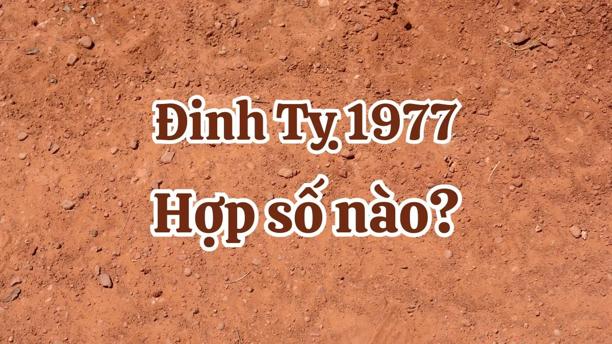 Tuổi Đinh Tỵ 1977 nam mạng, nữ mạng hợp với những con số nào?