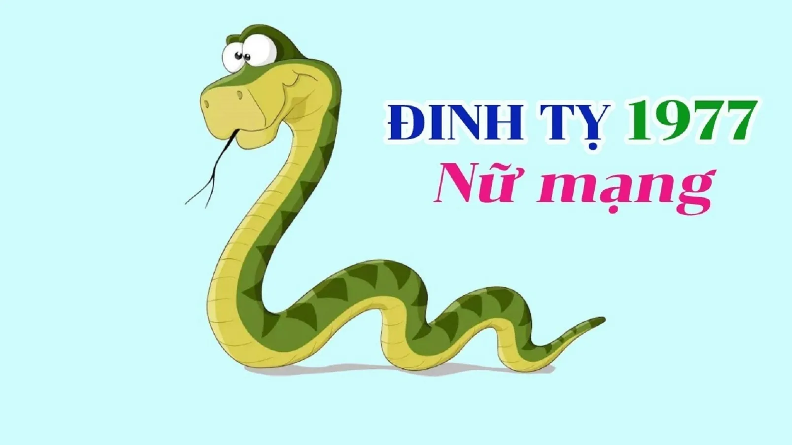 Hạn Tam Kheo trong năm 2024 ảnh hưởng như thế nào tới mệnh chủ tuổi Đinh Tỵ 1977 nữ mạng?