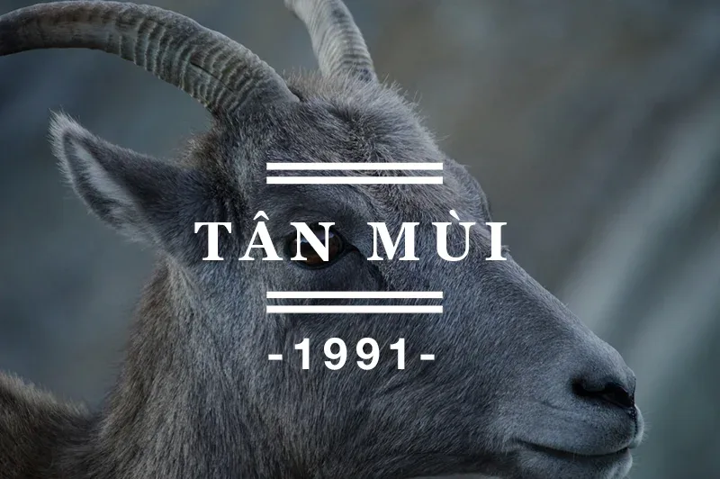Tuổi Tân Mùi 1991 hợp màu sắc nào trong năm 2024?