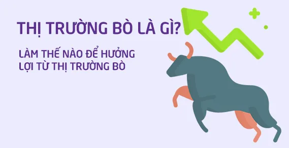 Thị trường Bò Tót và những điều nhà đầu tư cần biết