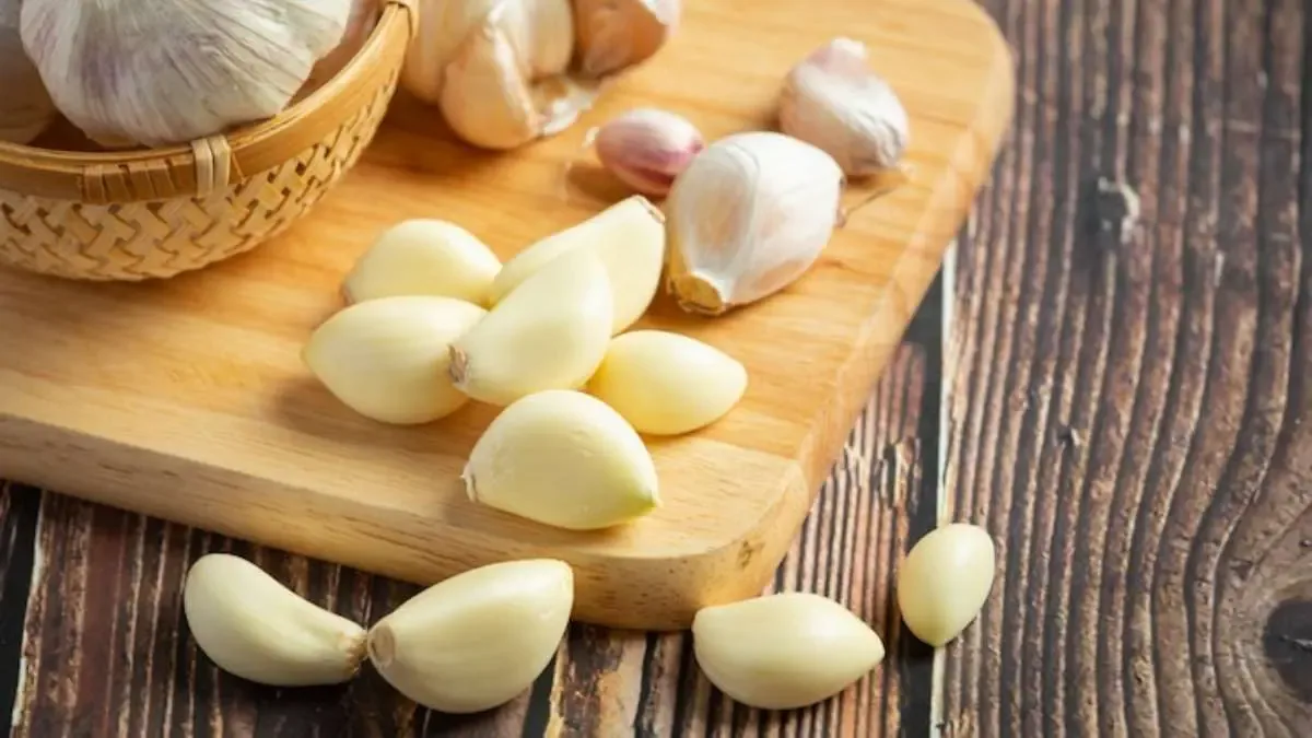 Hạn chế côn trùng bay vào nhà mùa mưa với 4 mùi hương sau