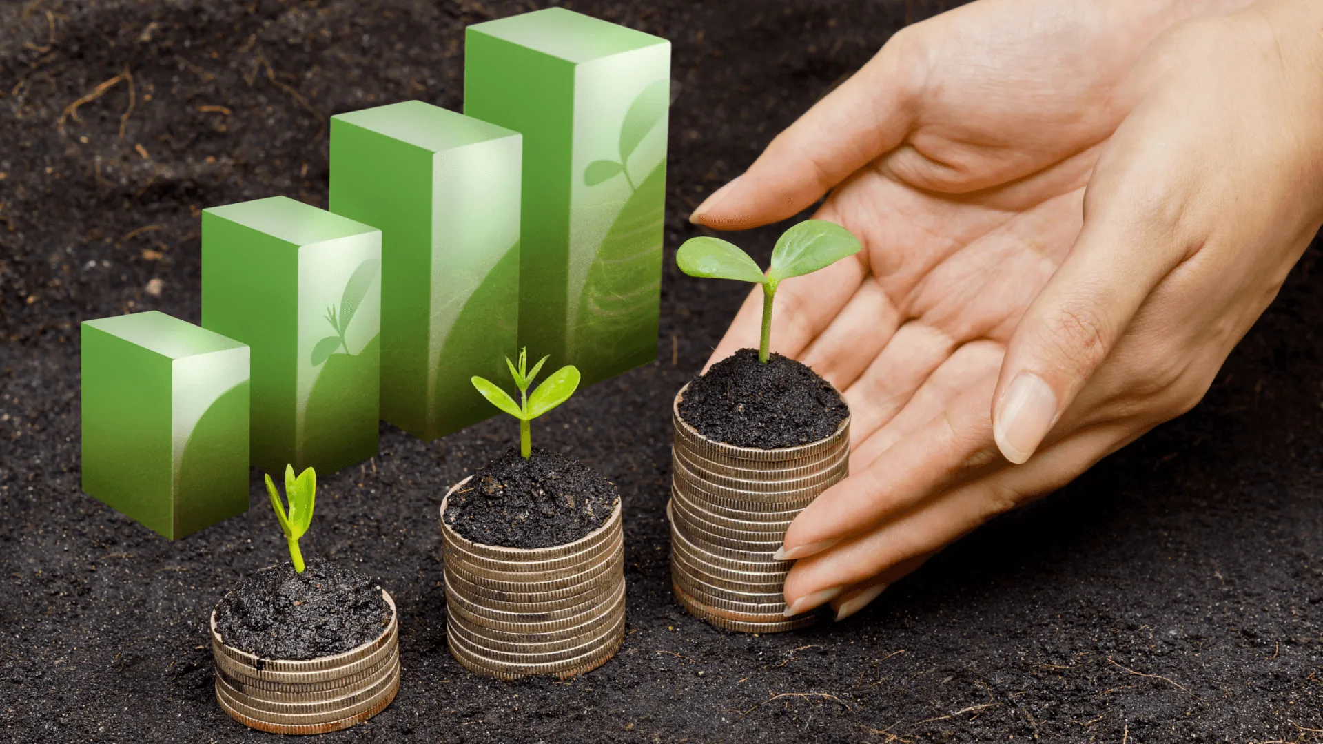 Tử vi tháng 6 năm 2025 cho tuổi Nhâm Tý 1972 sẽ thế nào?