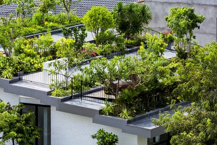 Vì sao trồng cây xanh giúp tiết kiệm điện trong ngày hè nắng nóng?