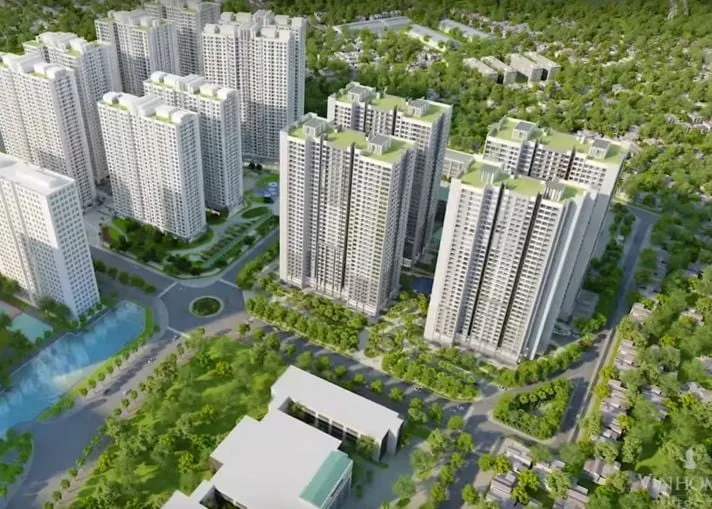 Căn hộ chung cư tòa P11 Vinhomes Times City giá bao nhiêu 1m2?